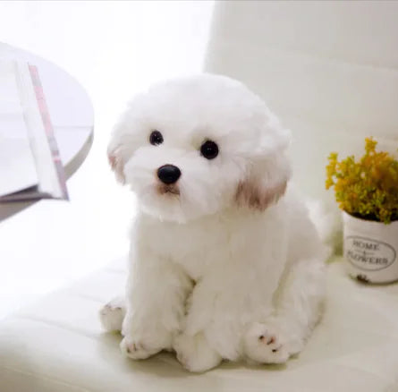 Soft Plush Dog Toy