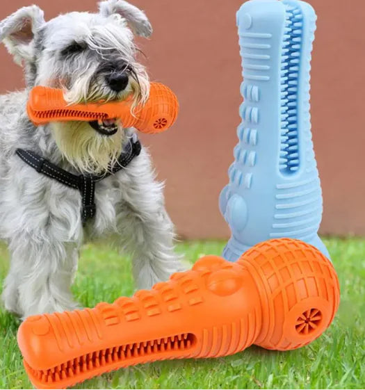 Dog Chew Toy for Dental Care