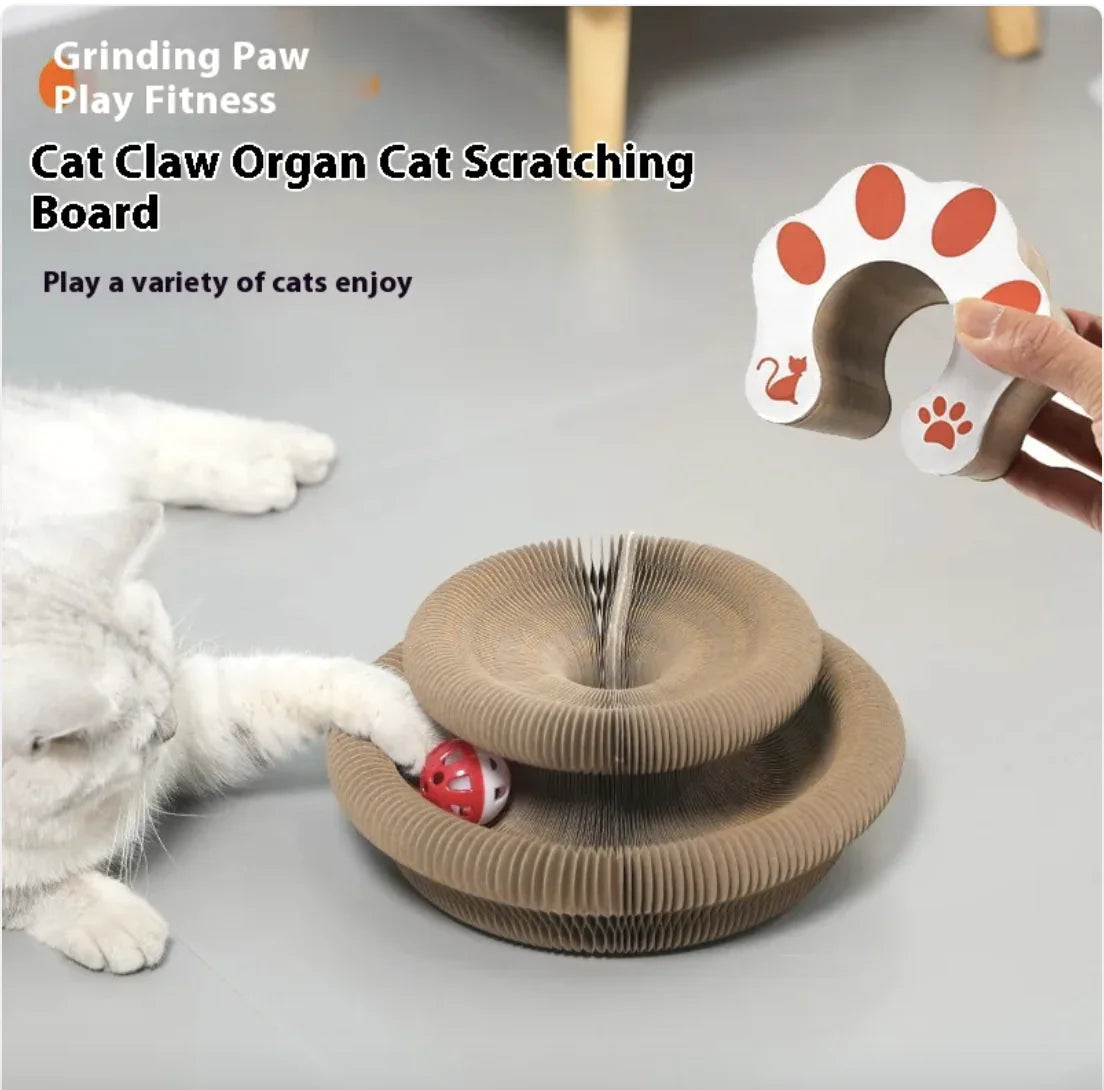 Magnetic Foldable Cat Scratching Board Toy