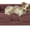 Orthopedic Dog Bed