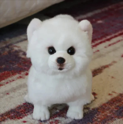 Soft Plush Dog Toy