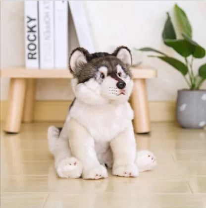 Soft Plush Dog Toy