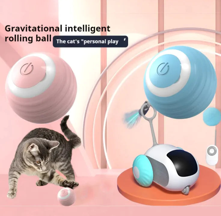 Indoor Smart Cat Play Ball