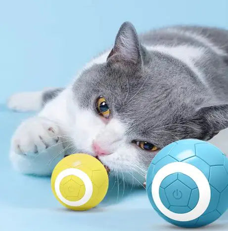 Electric Pet Toy Ball